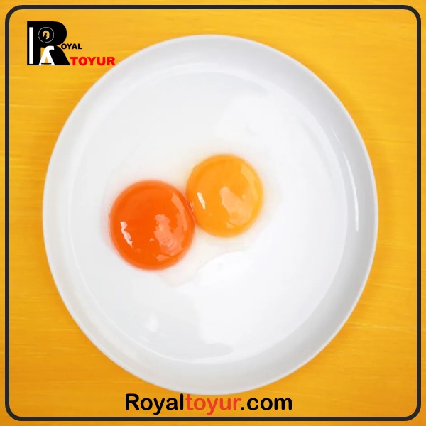 دلیل تغییر رنگ زرده تخم مرغ